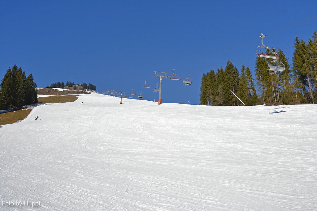 comp_dsc_0194d99v.jpg