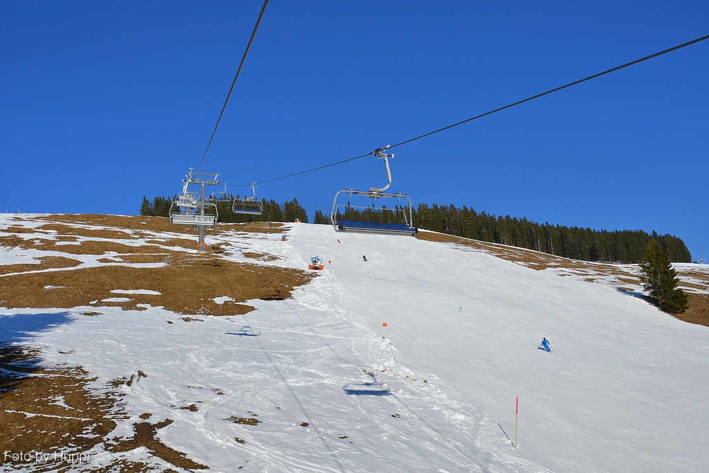 comp_dsc_0257fyci.jpg