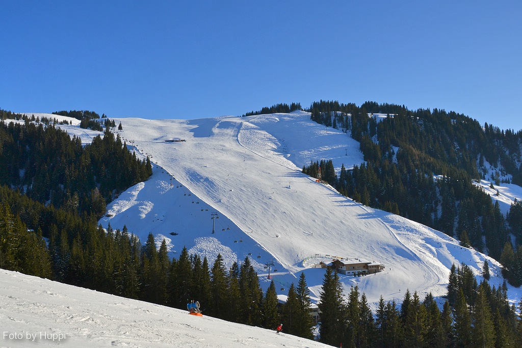 comp_dsc_02687xpg.jpg