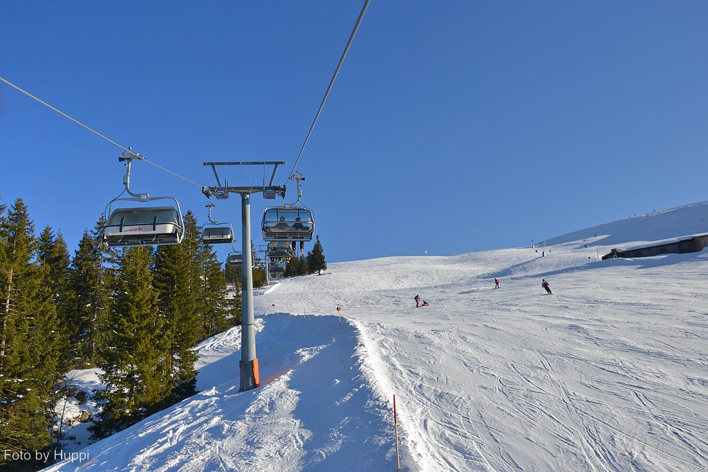 comp_dsc_0278yxs6.jpg