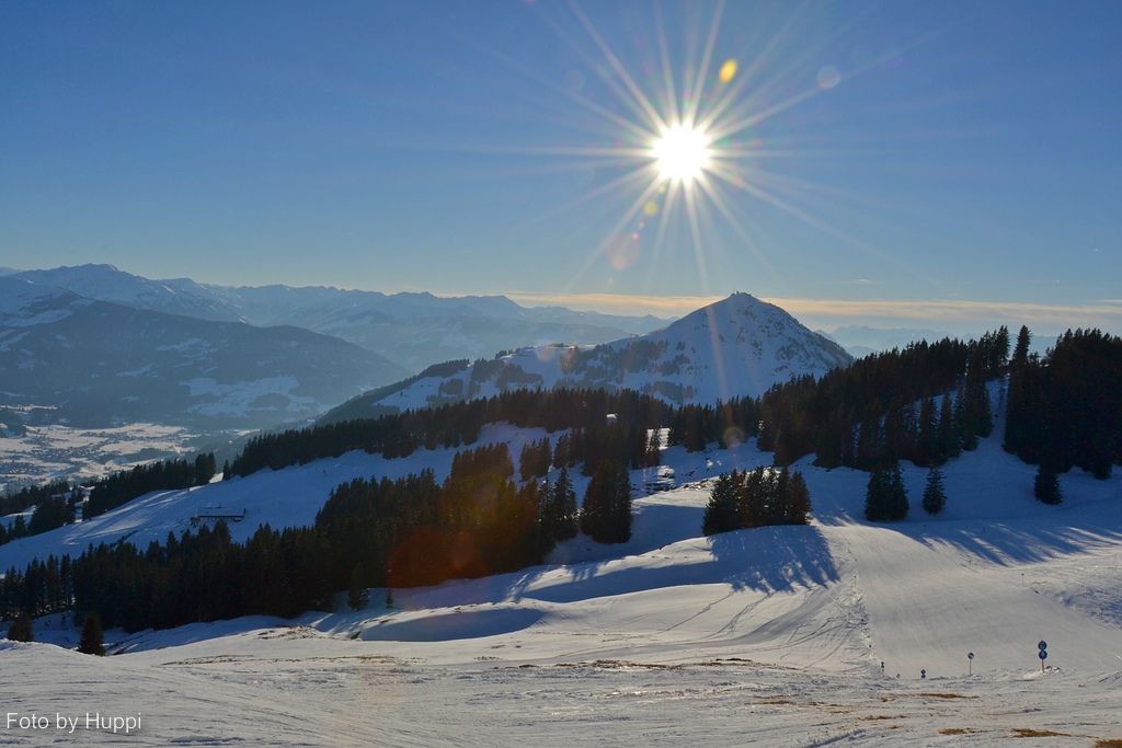 comp_dsc_0298fbh2.jpg