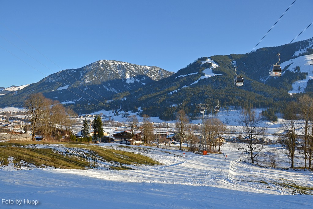 comp_dsc_0309lar0.jpg