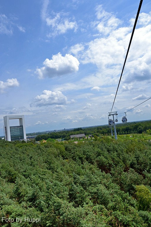 comp_dsc_0463cy9e.jpg