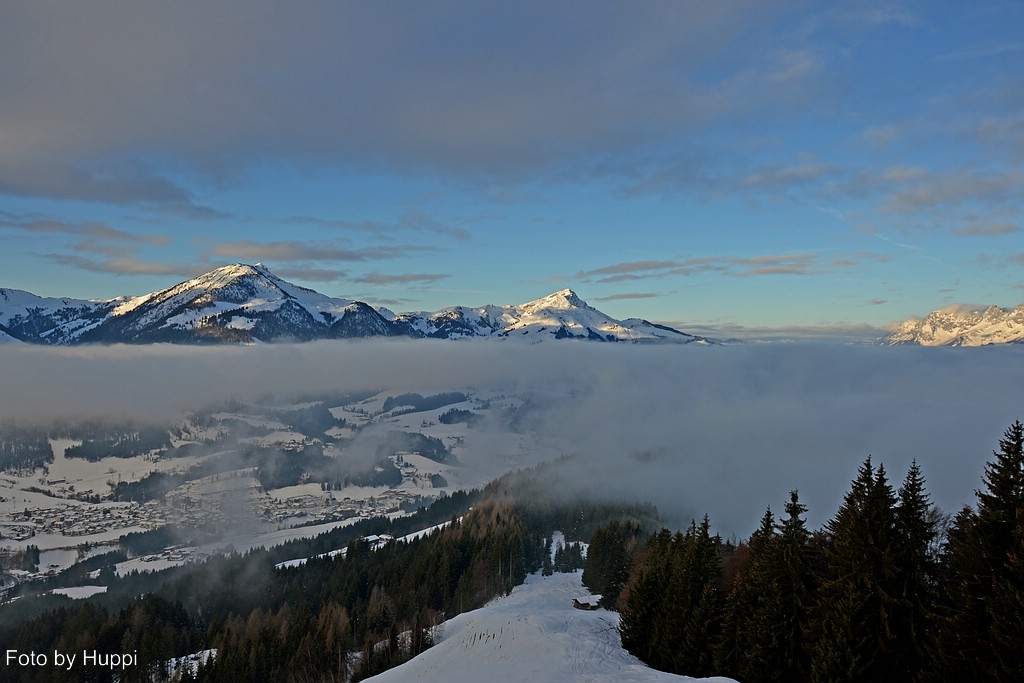 comp_dsc_2139zfjsv.jpg