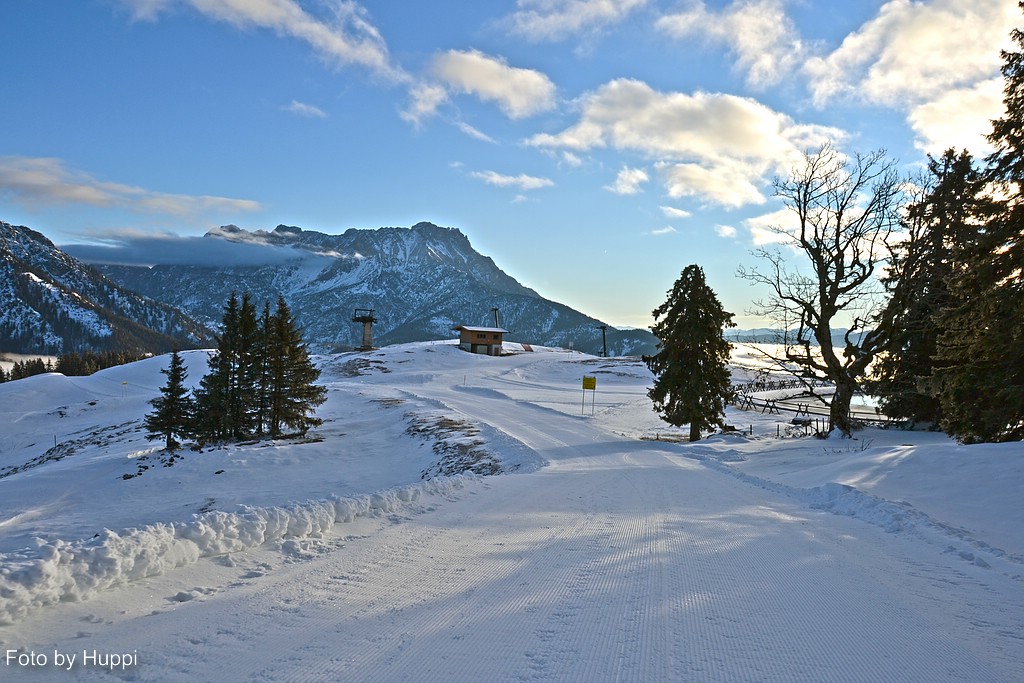 comp_dsc_2161e4jg2.jpg