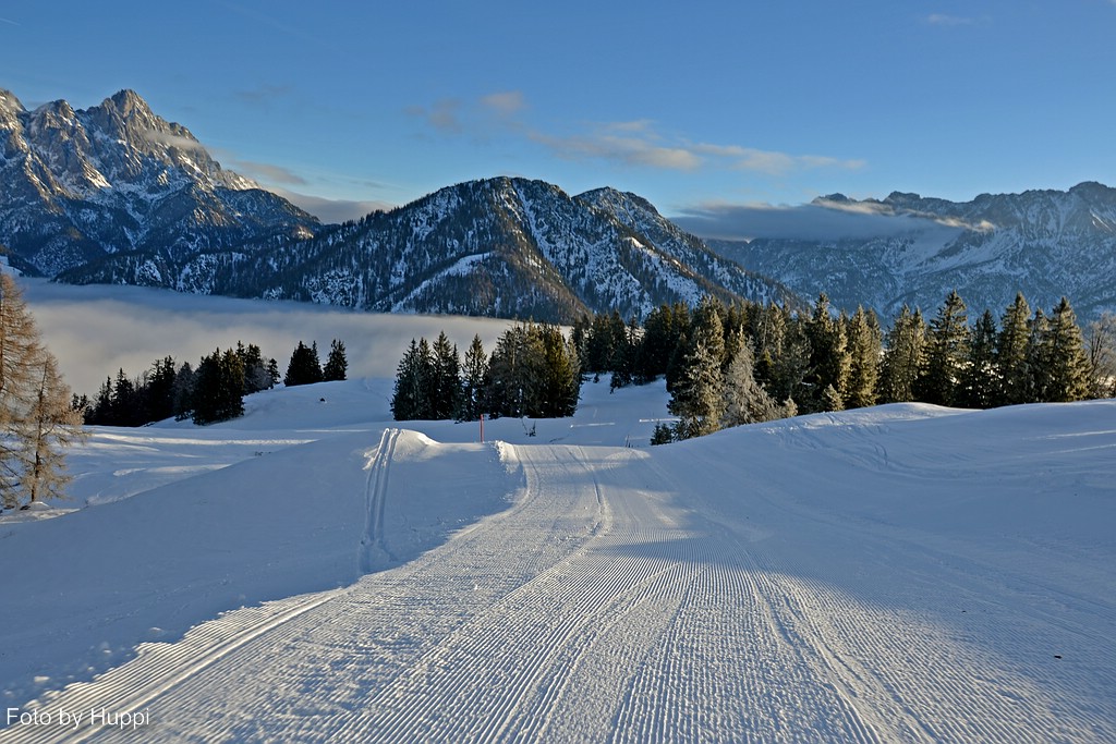 comp_dsc_2163n9km8.jpg