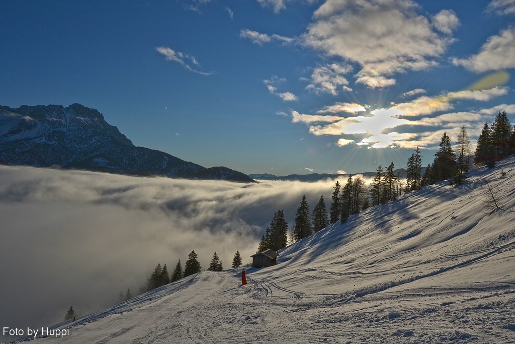 comp_dsc_2165t8ku0.jpg
