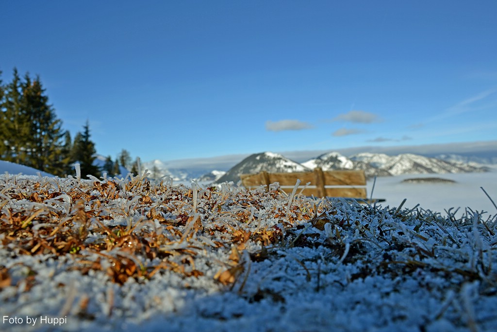 comp_dsc_2187plj5l.jpg