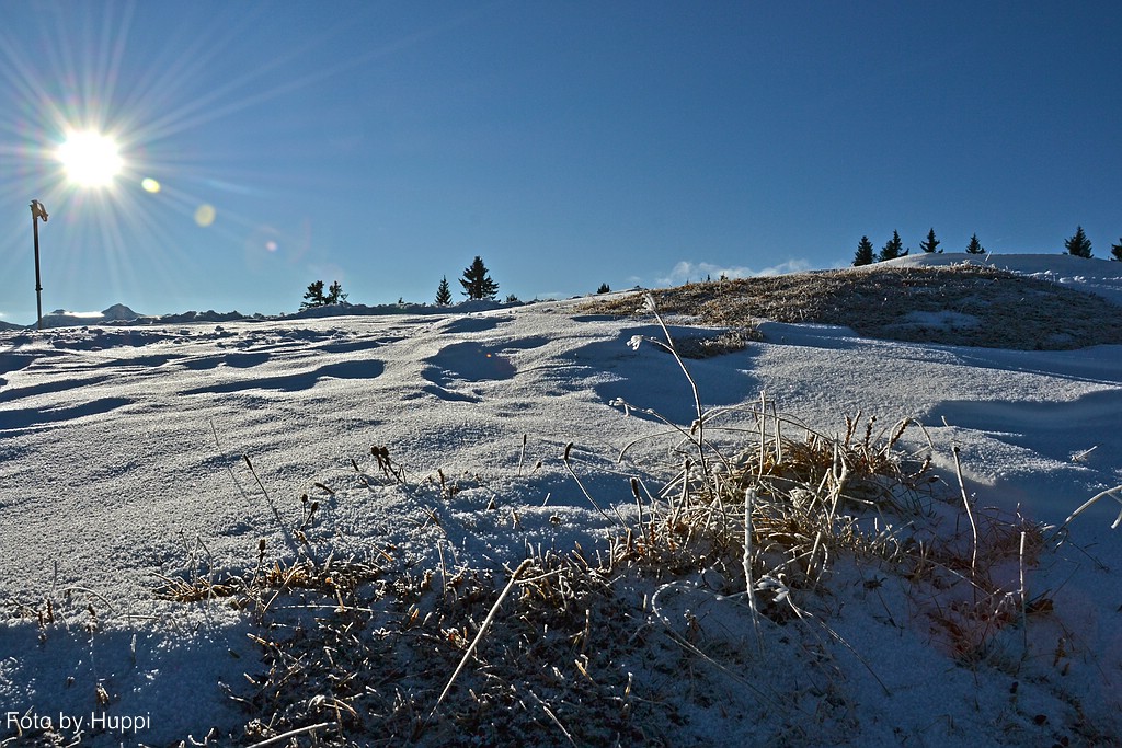 comp_dsc_2191wrjlf.jpg