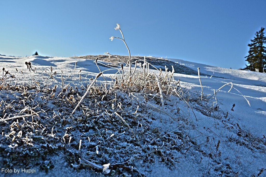 comp_dsc_2192p2k0r.jpg
