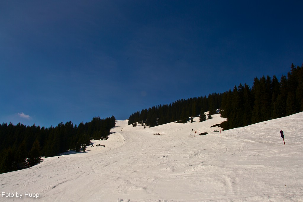 comp_dsc_3304025l3.jpg