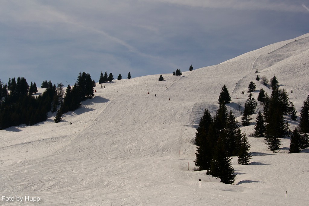 comp_dsc_33311512w.jpg