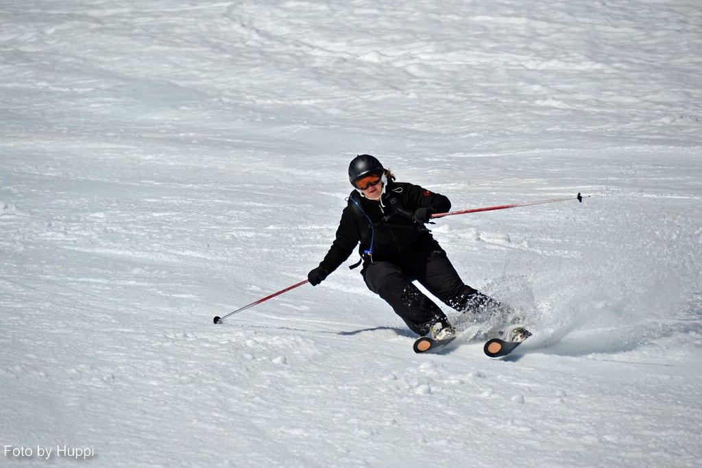 comp_dsc_33989d06v.jpg