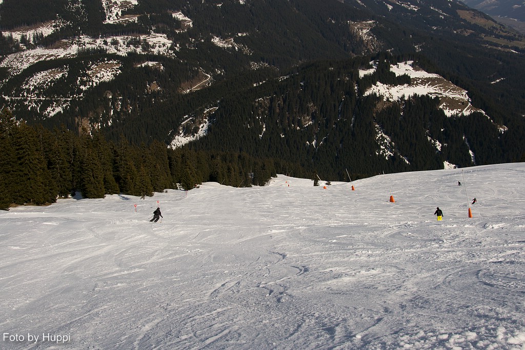 comp_dsc_3443lr48h.jpg