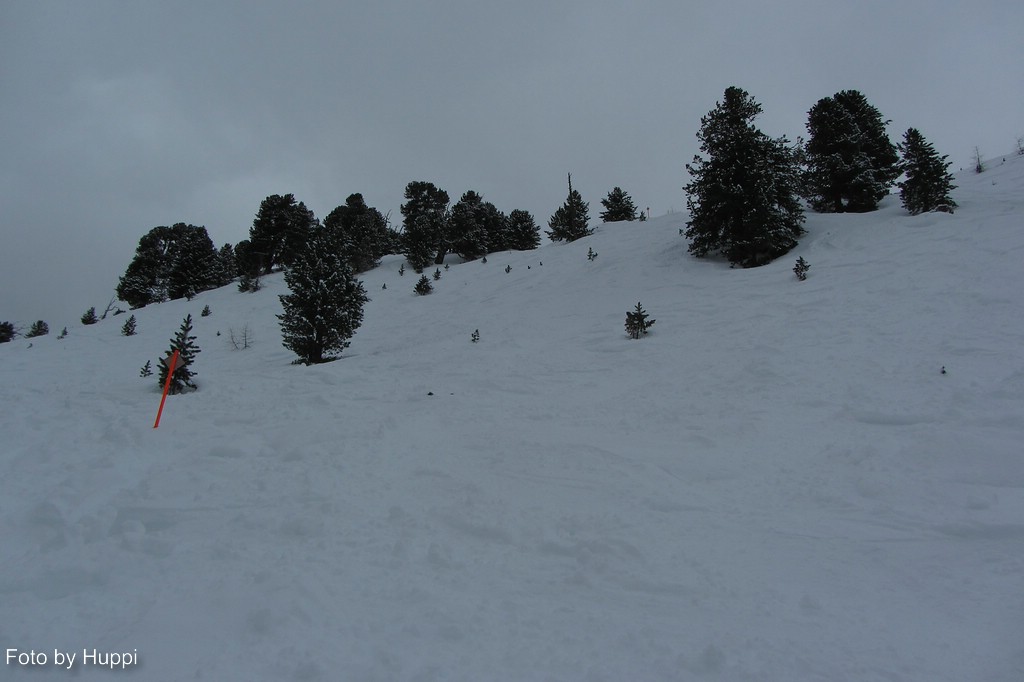 comp_img_1647yuc7b.jpg