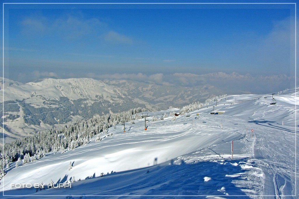 comp_img_1667mnuzv.jpg