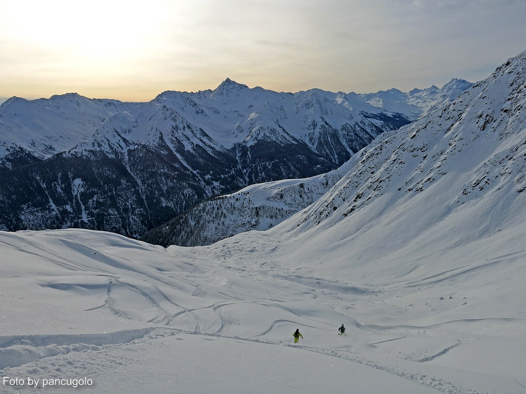comp_img_1690eydsv.jpg