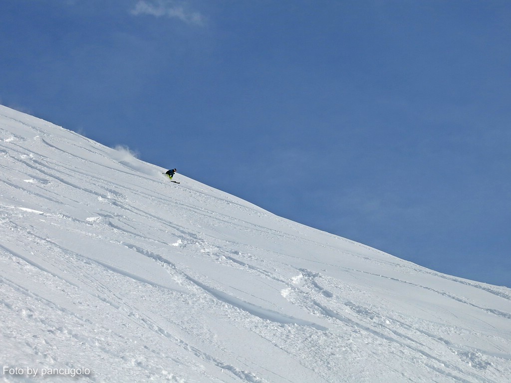 comp_img_1722isc03.jpg