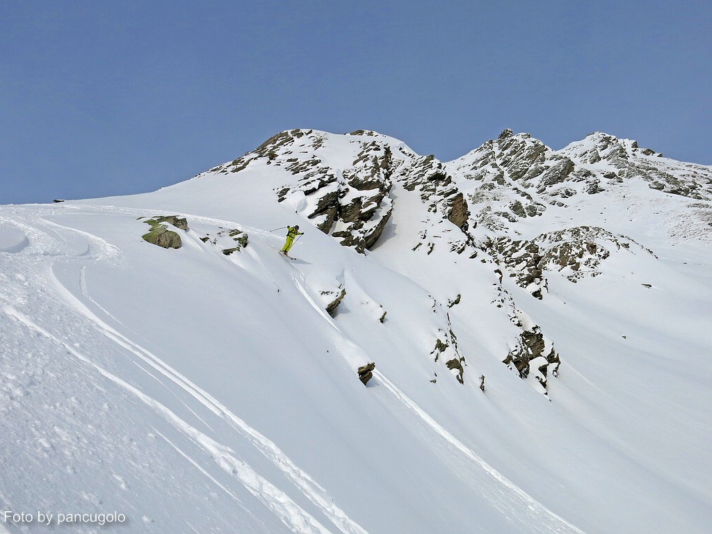comp_img_1799cveo1.jpg