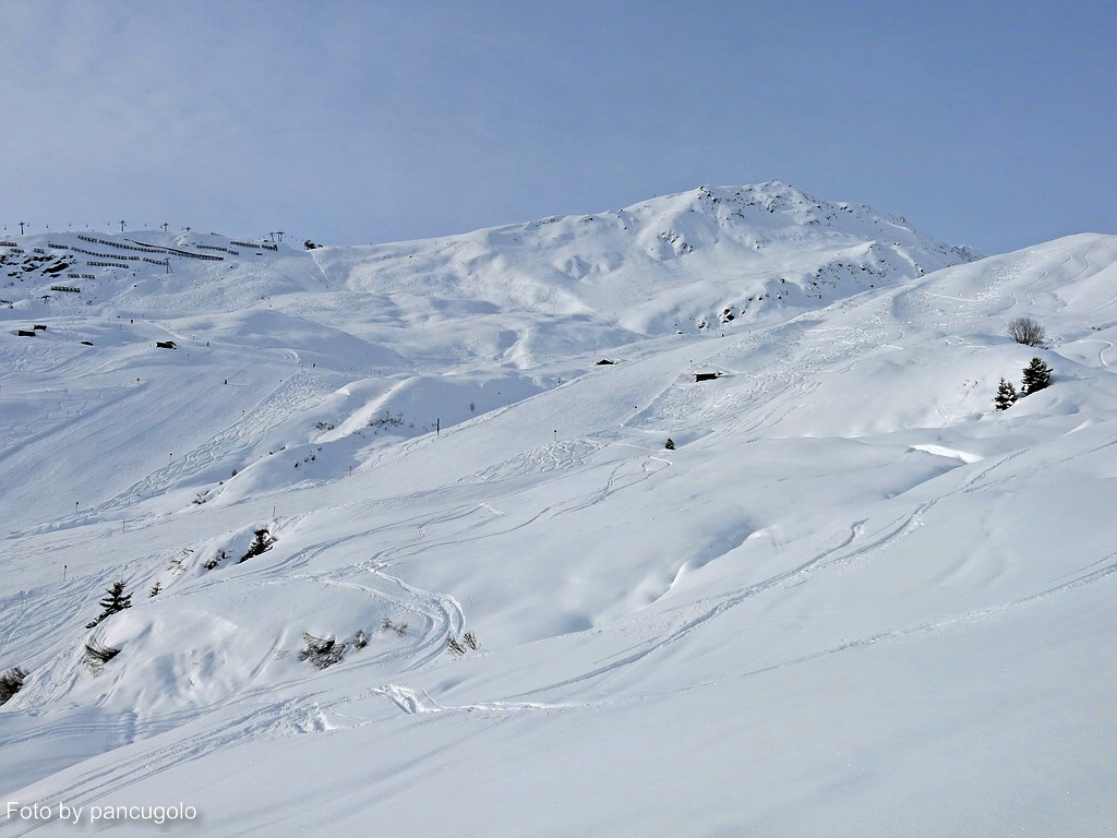 comp_img_18198sej3.jpg