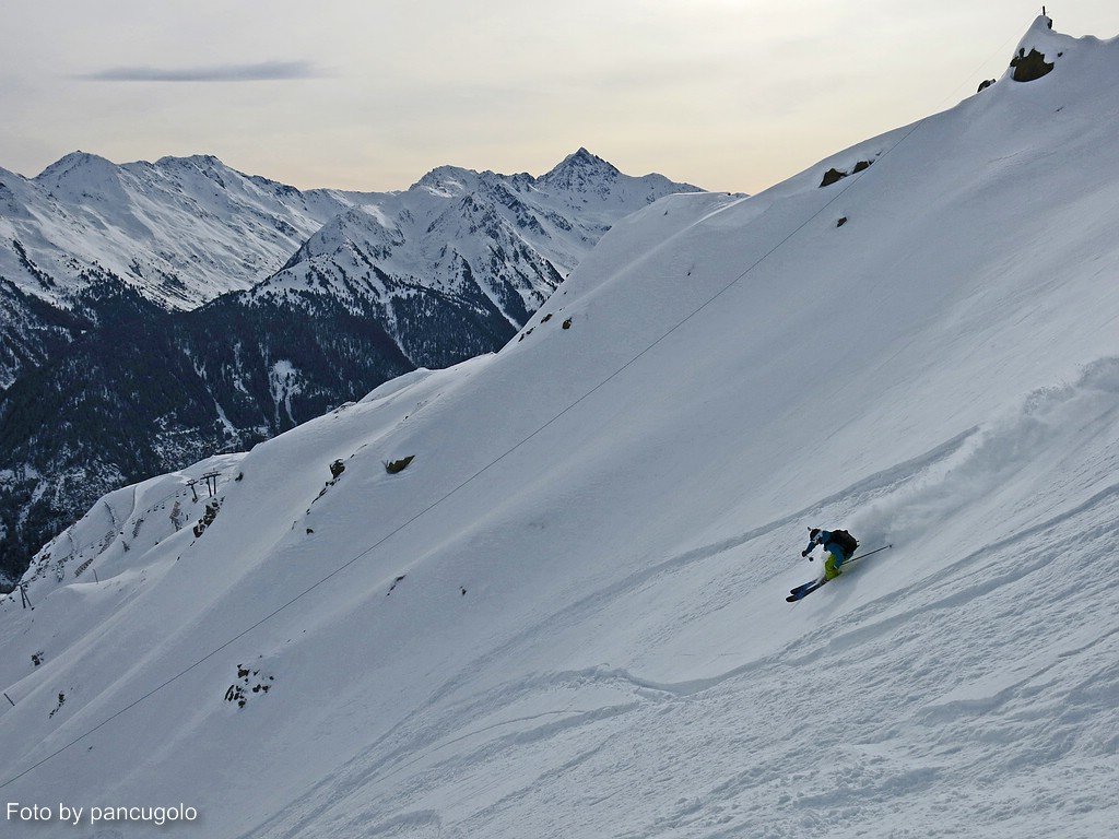 comp_img_1838o5d4h.jpg