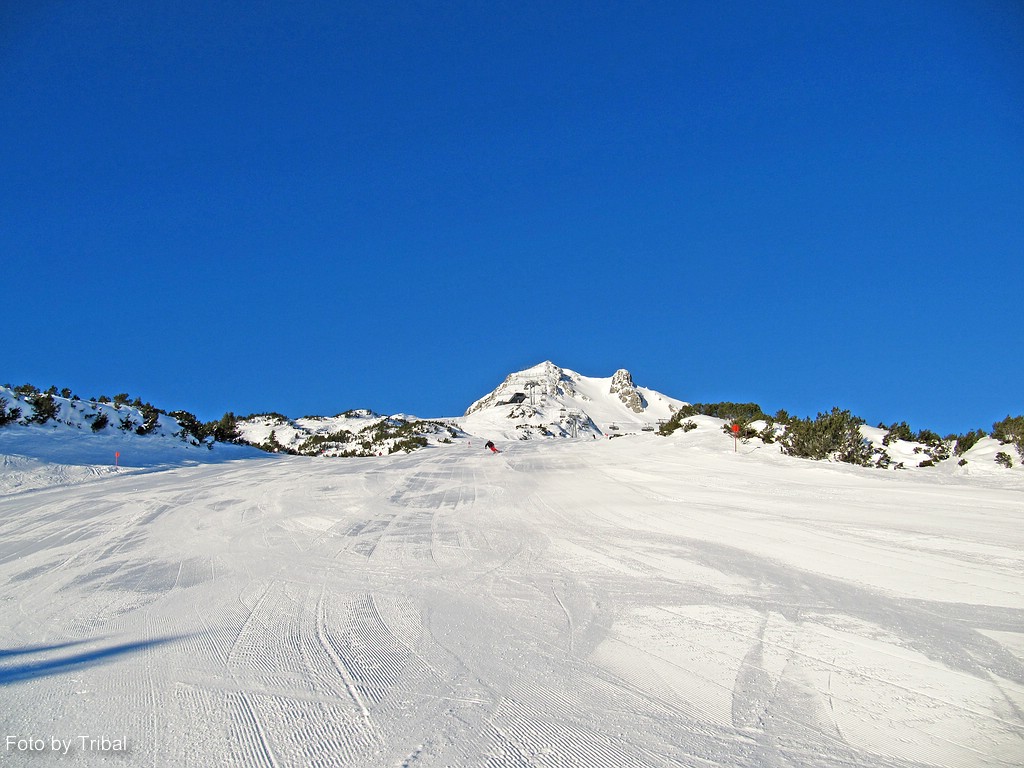 comp_img_4277d63a.jpg