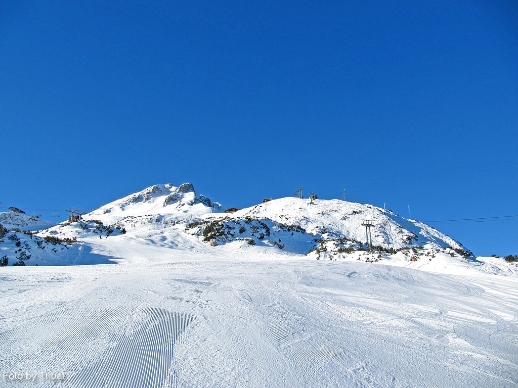 comp_img_4295c6h6.jpg