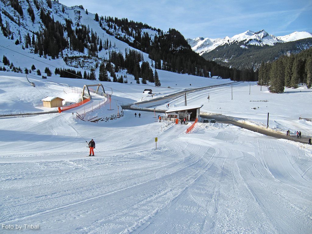 comp_img_5338ym7h.jpg