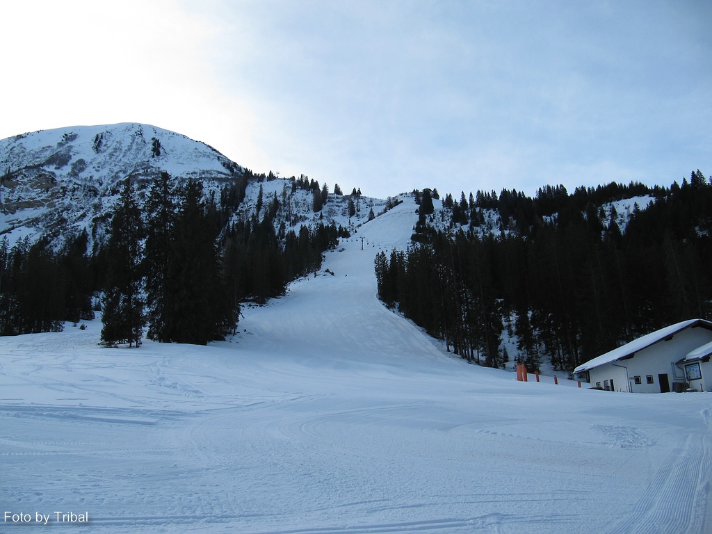 comp_img_5348tm18.jpg