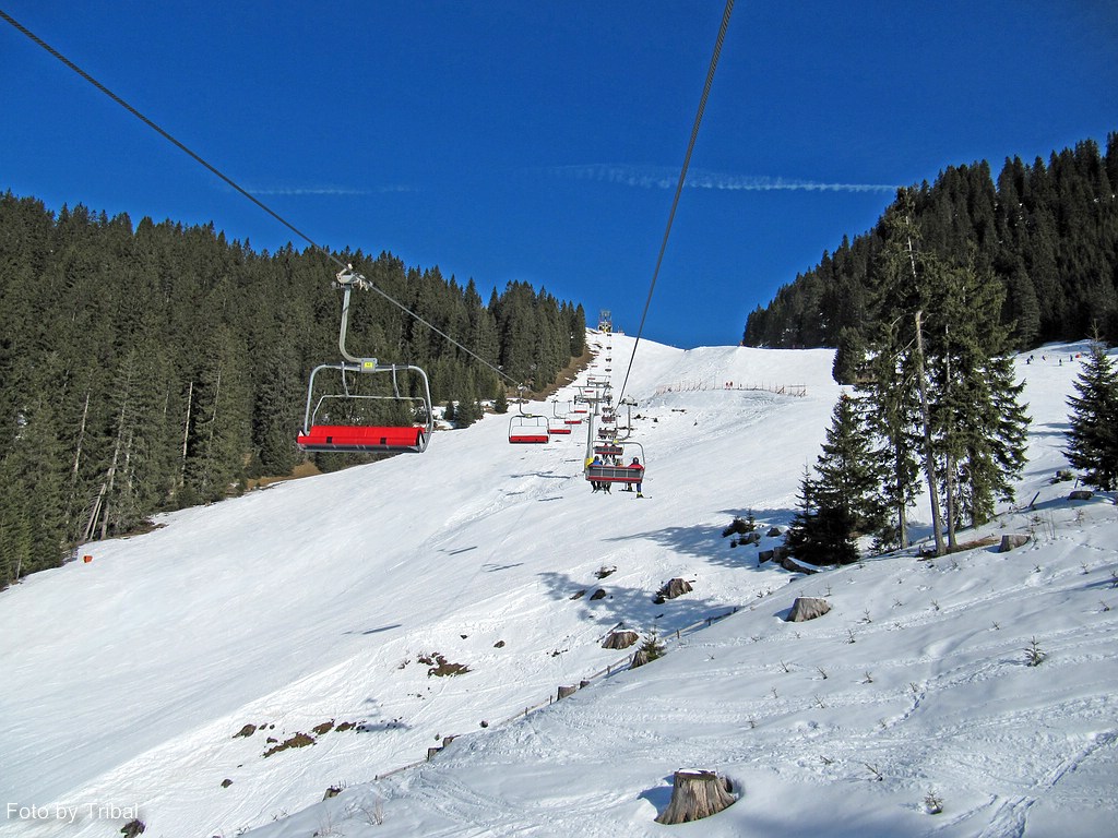 comp_img_5402wmfd.jpg