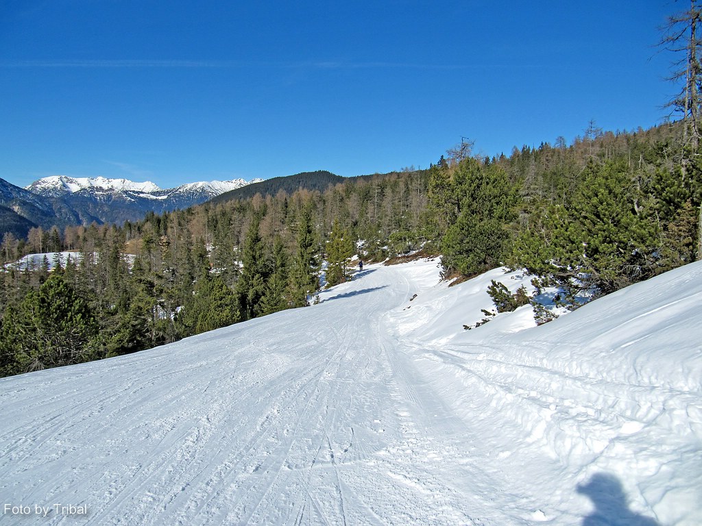 comp_img_5444nf5a.jpg