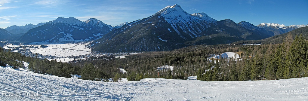 comp_img_5503-montageldmi.jpg