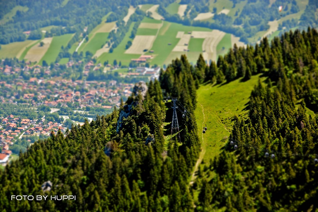 compdsc_02941rjof.jpg