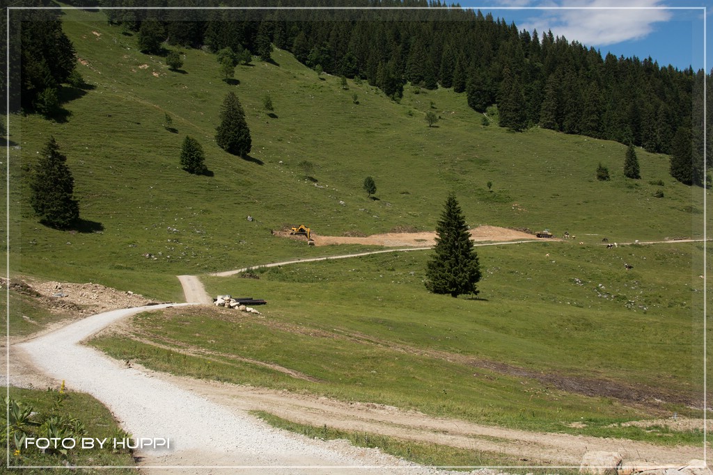 compdsc_0472yyjgp.jpg