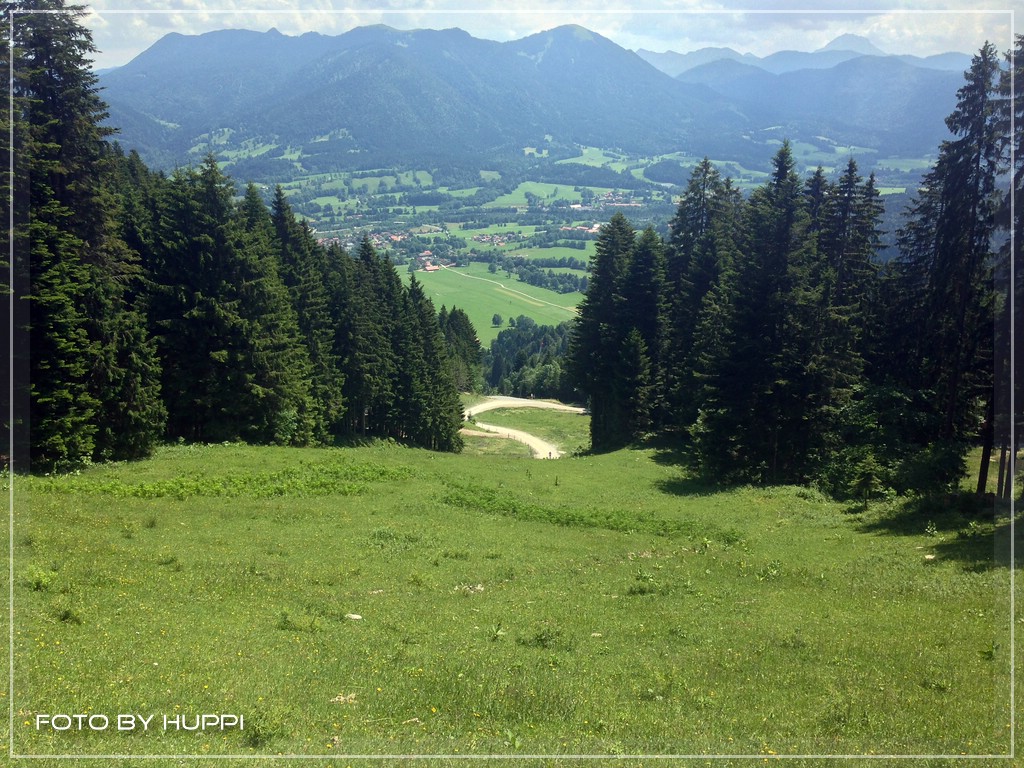 compimg_2096mlj2m.jpg