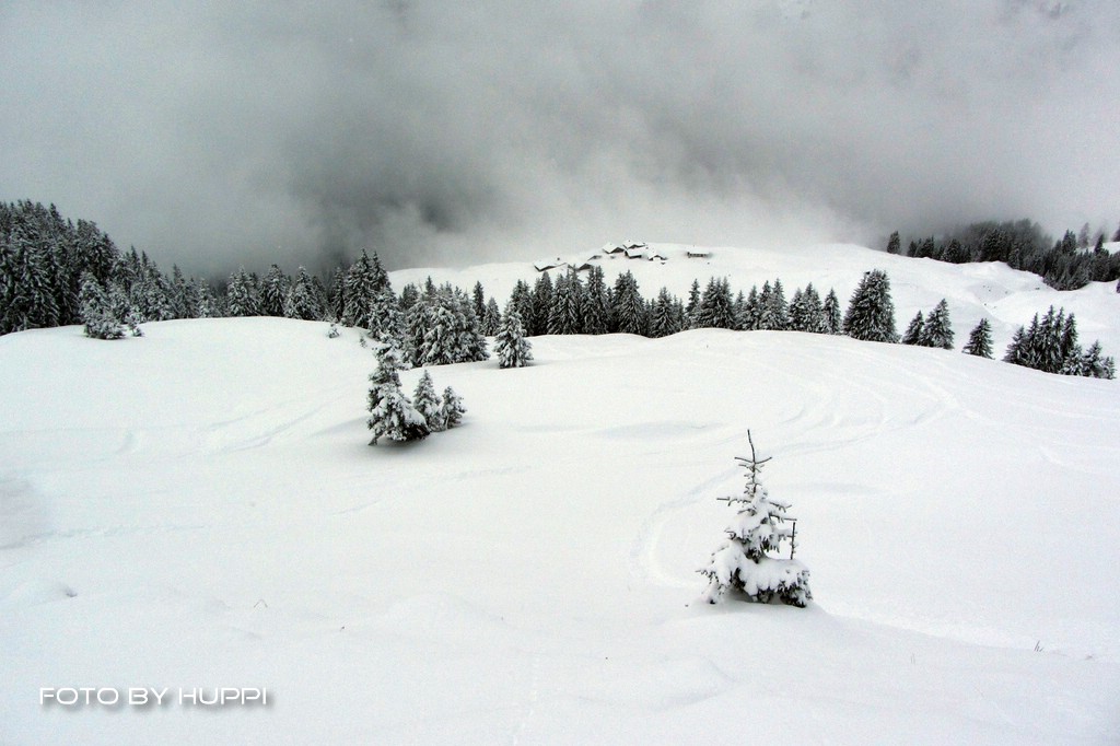 compimg_2963isk27.jpg