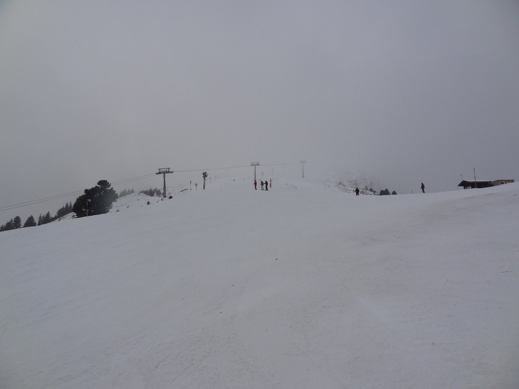 dsc0229801u29.jpg