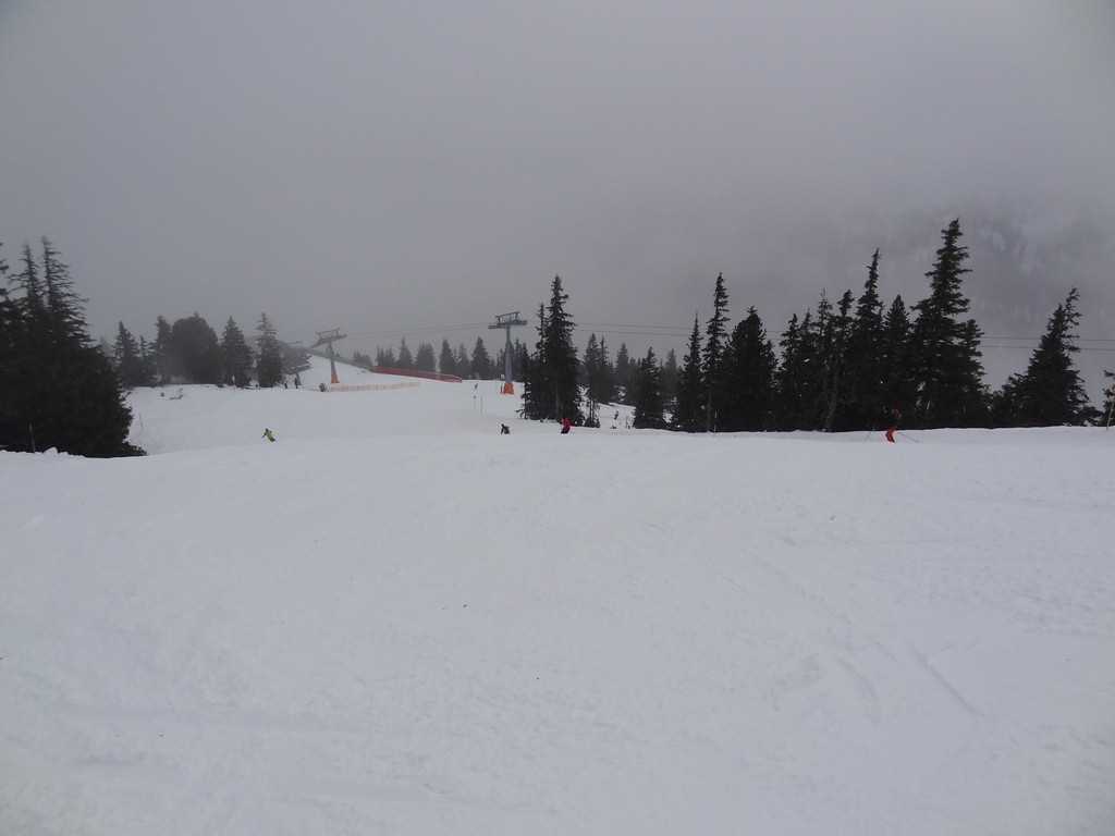 dsc02299wqugp.jpg
