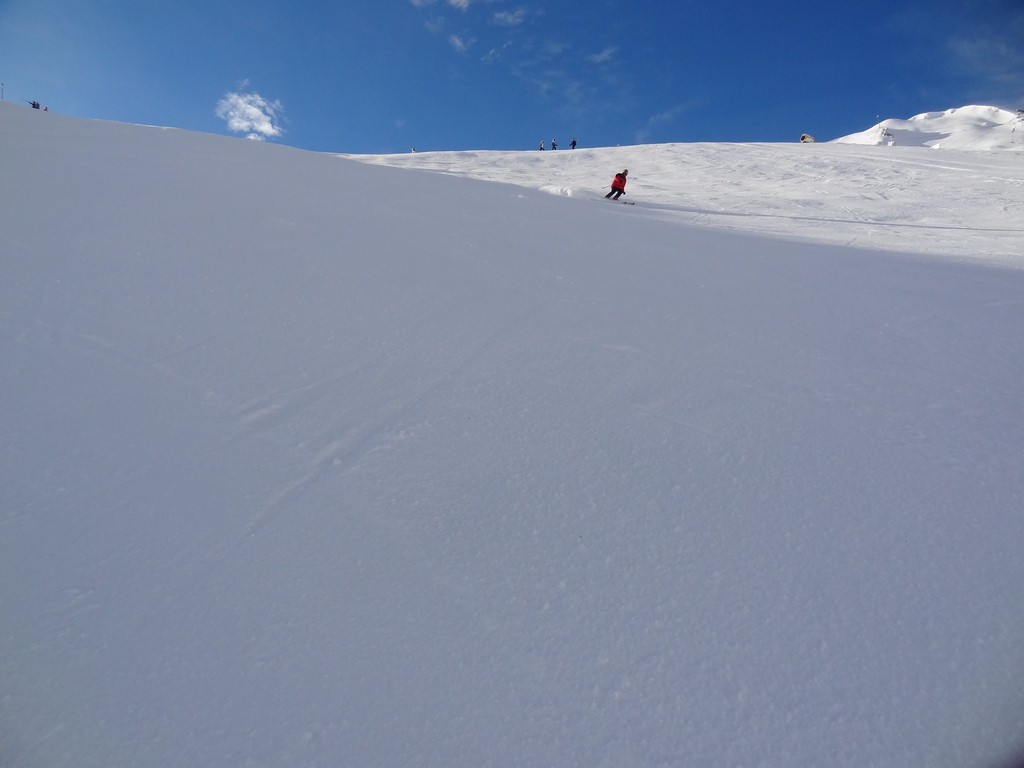 dsc02689vlu93.jpg