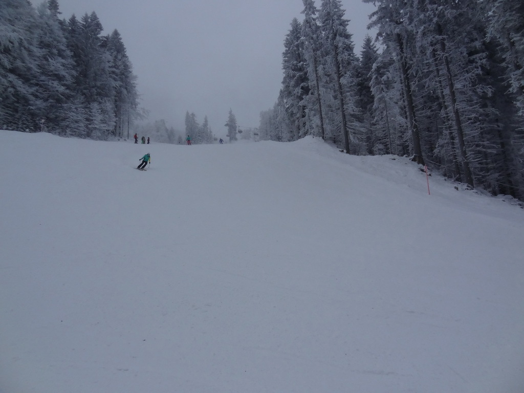 dsc03149u5yj0.jpg