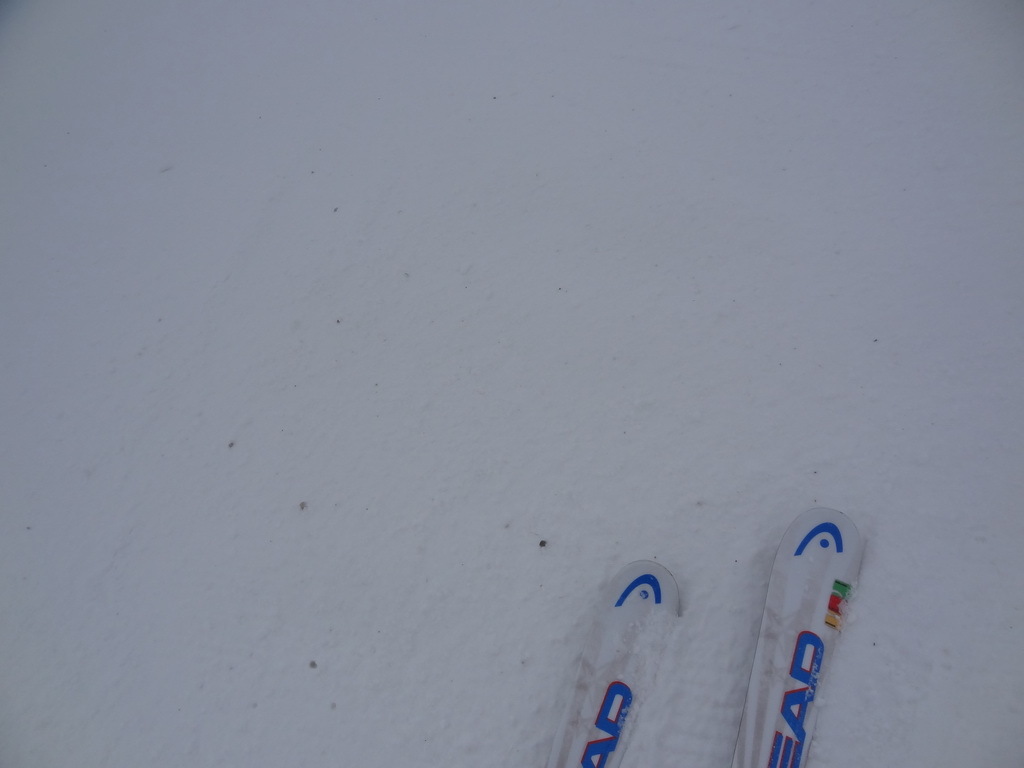 dsc03192wyy0a.jpg