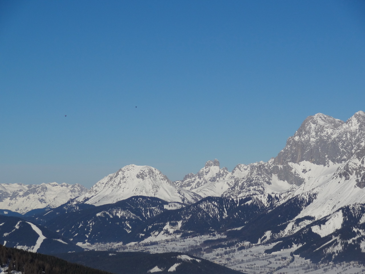 dsc04044lnsom.jpg