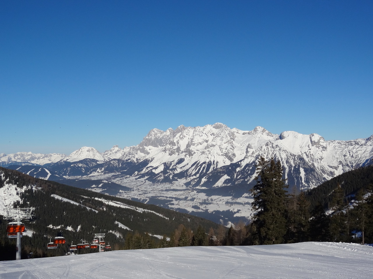dsc040452vsgc.jpg