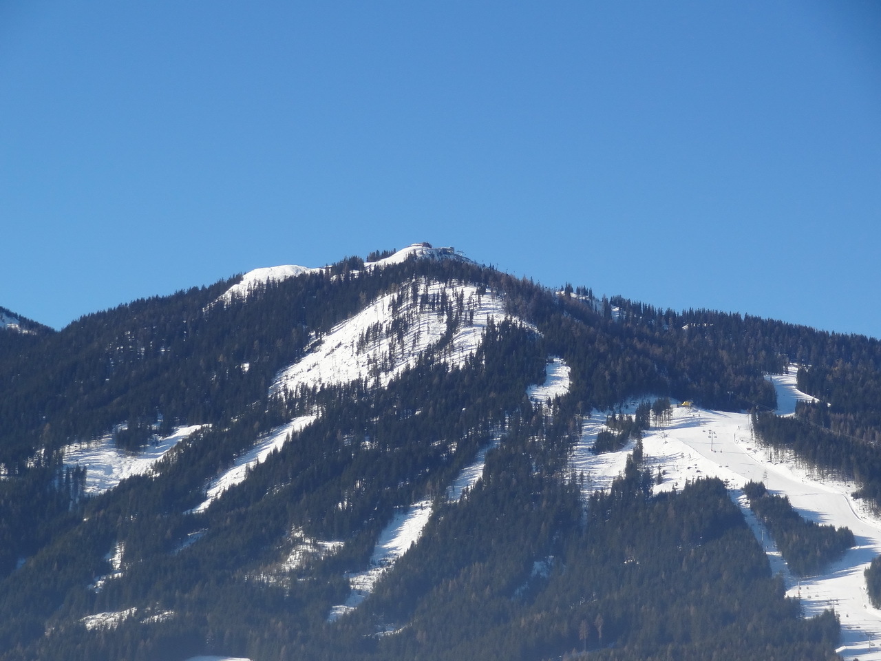dsc041173ystm.jpg