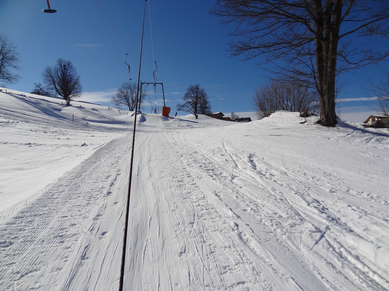dsc0430852sqr.jpg