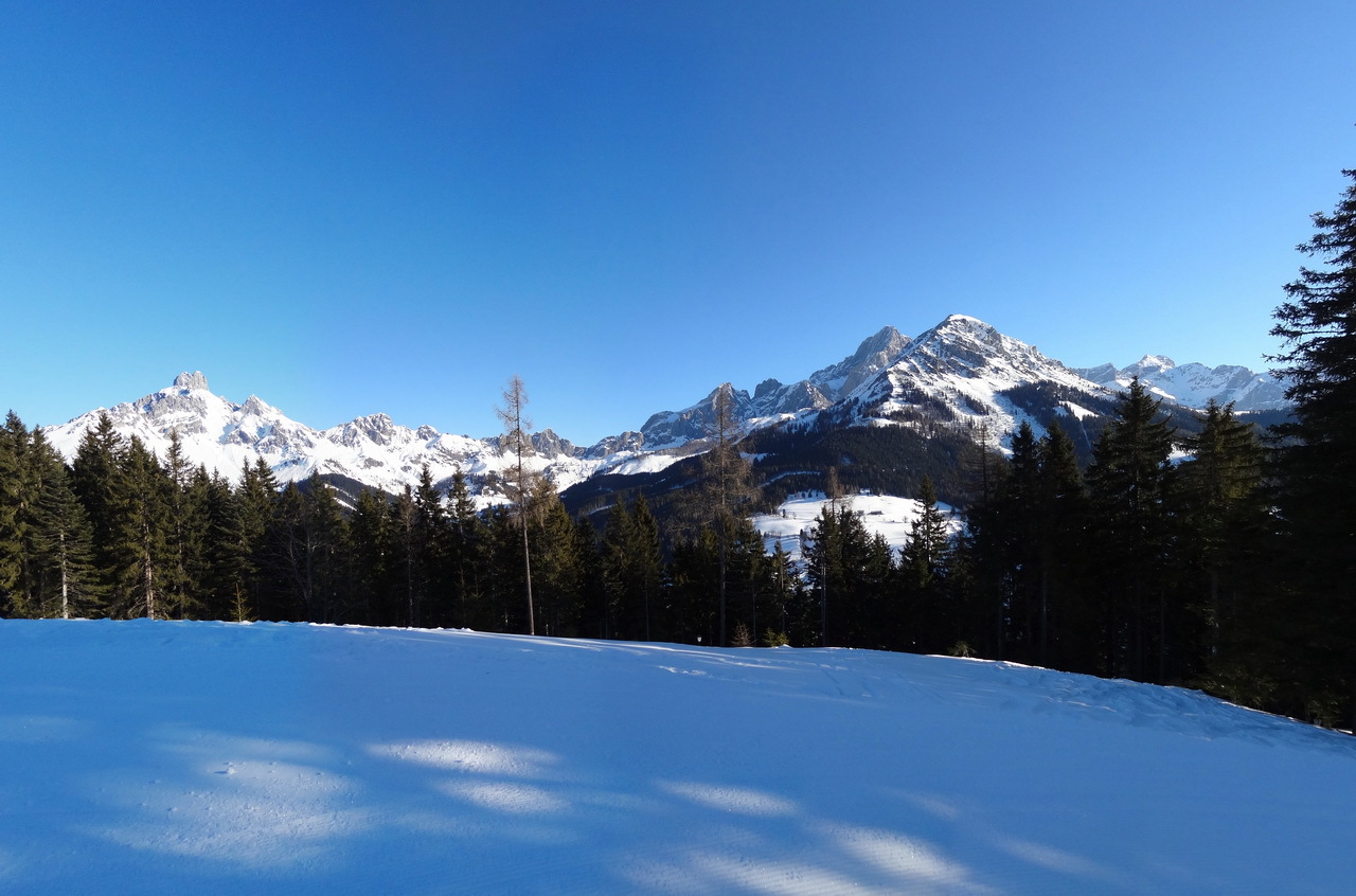 dsc04425_pano8qu35.jpg