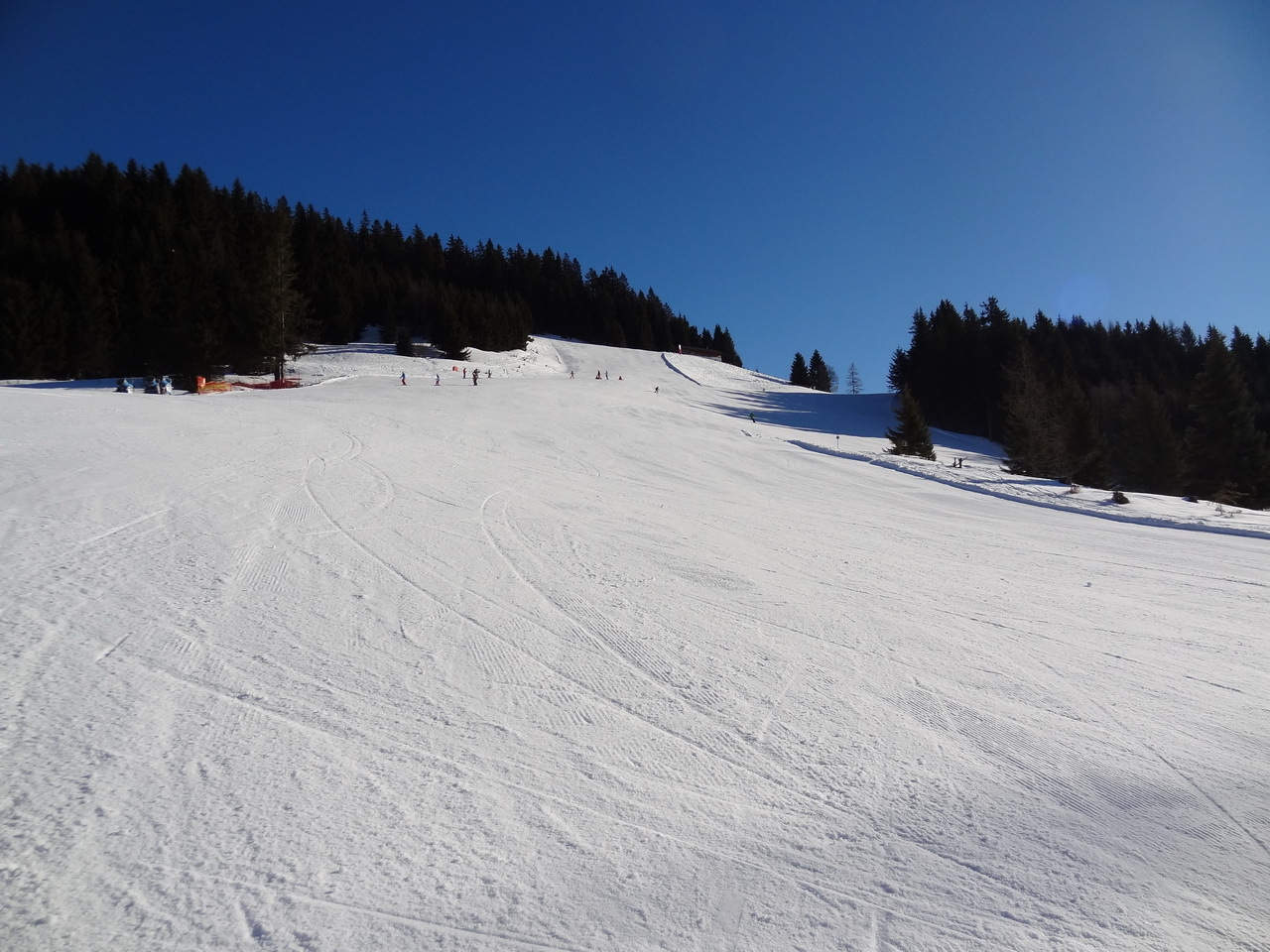 dsc04463n0u2u.jpg