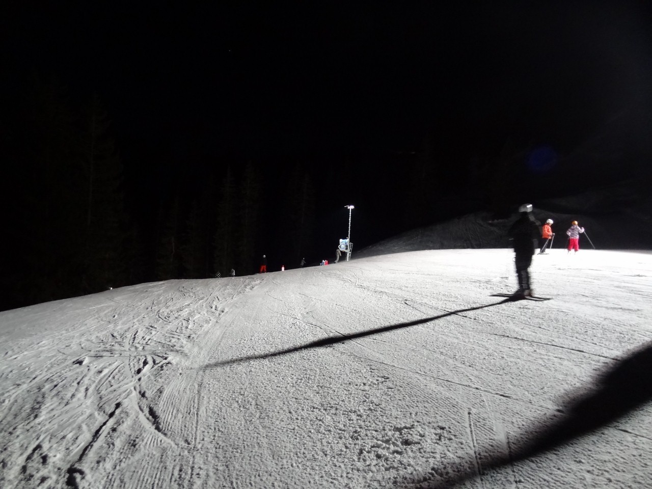 dsc04618obovt.jpg