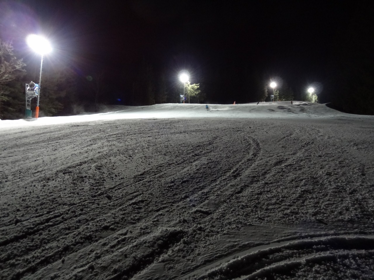 dsc04638fcp8v.jpg