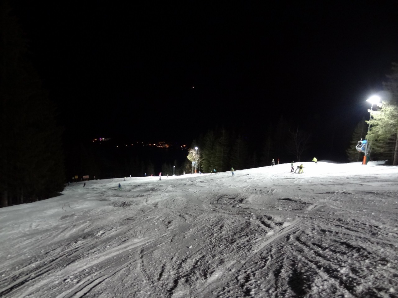 dsc04642pfqec.jpg